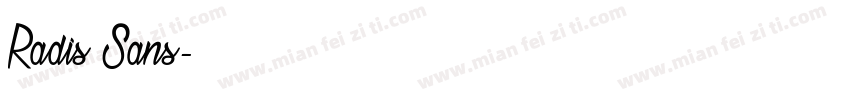 Radis Sans字体转换